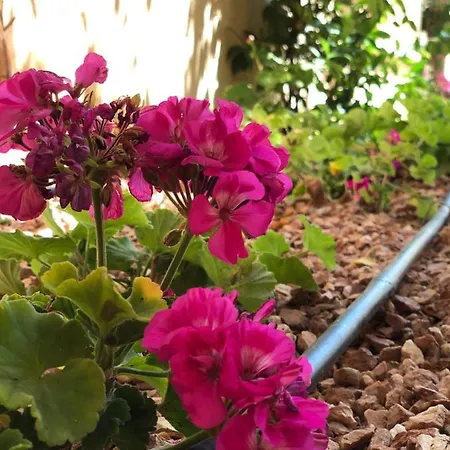 Moraira -jardines Montemar * بينيسا